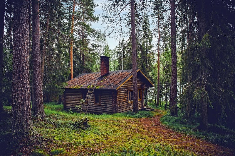 Secluded Cabin in the Forest